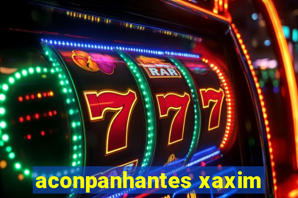 aconpanhantes xaxim
